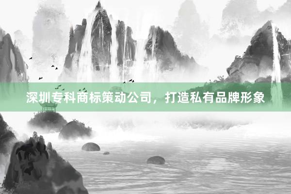 深圳专科商标策动公司，打造私有品牌形象